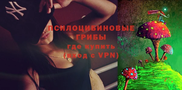 a pvp Белокуриха
