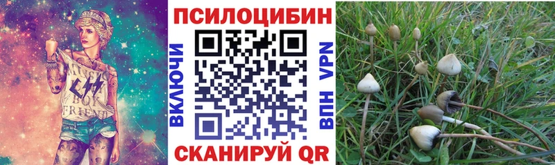Купить  Светлоград  Галлюциногенные грибы мухоморы 